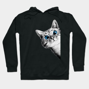 Tabby Cat Blue Eyes Tabby Cat Hoodie